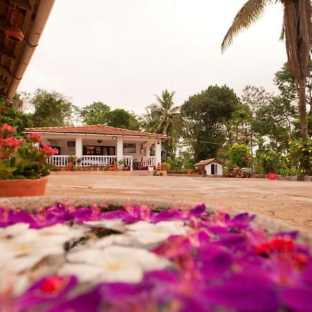 The Blue Mountains Estate Stay Madikeri Exteriör bild
