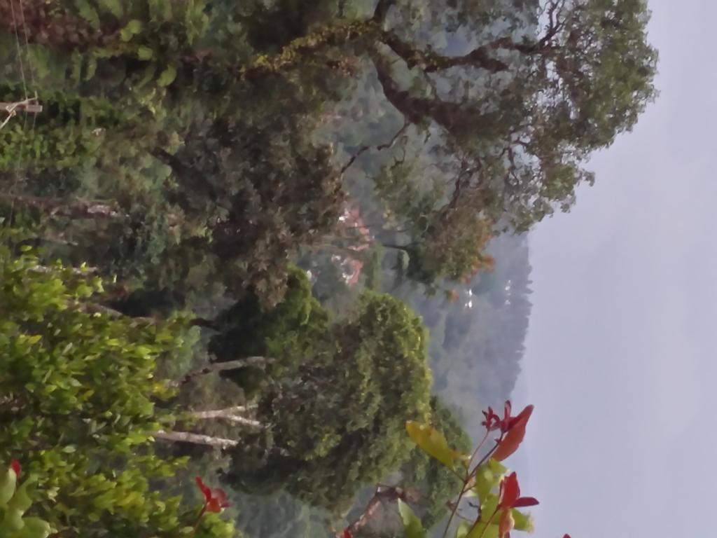 The Blue Mountains Estate Stay Madikeri Exteriör bild