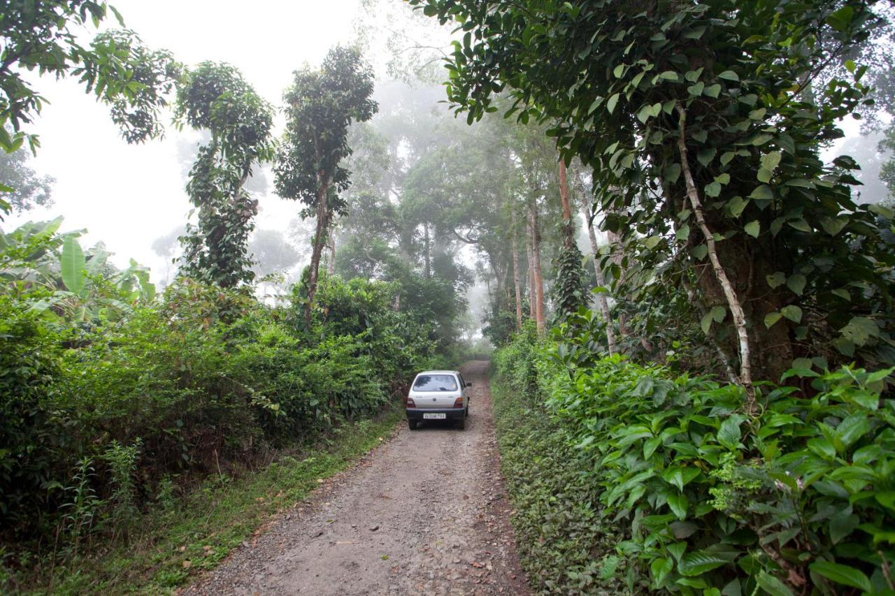 The Blue Mountains Estate Stay Madikeri Exteriör bild