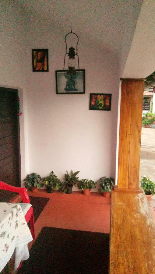 The Blue Mountains Estate Stay Madikeri Exteriör bild