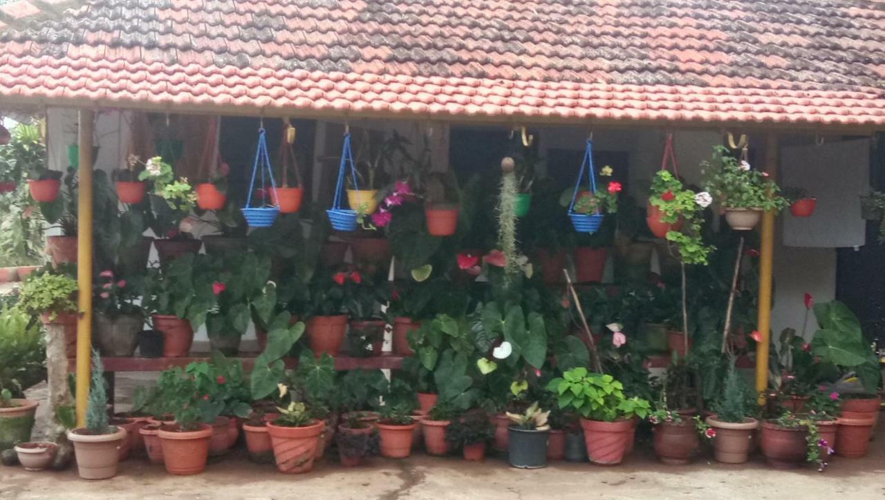 The Blue Mountains Estate Stay Madikeri Exteriör bild