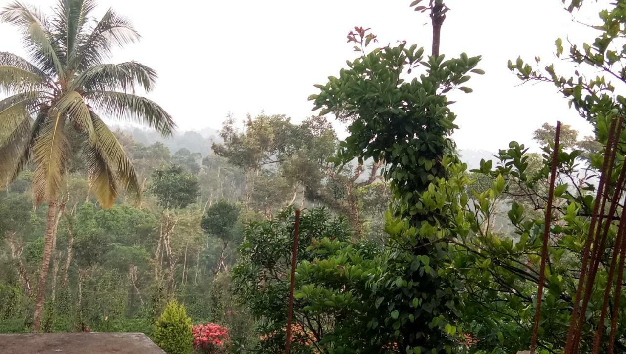 The Blue Mountains Estate Stay Madikeri Exteriör bild