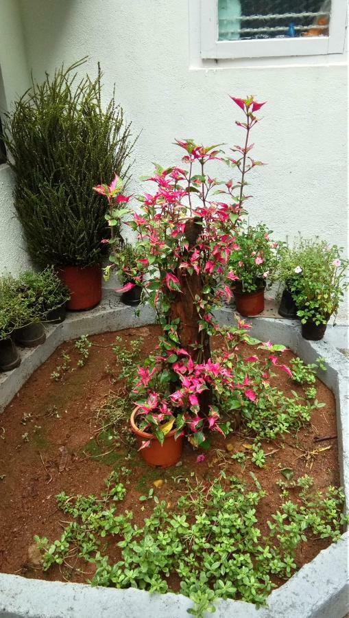 The Blue Mountains Estate Stay Madikeri Exteriör bild